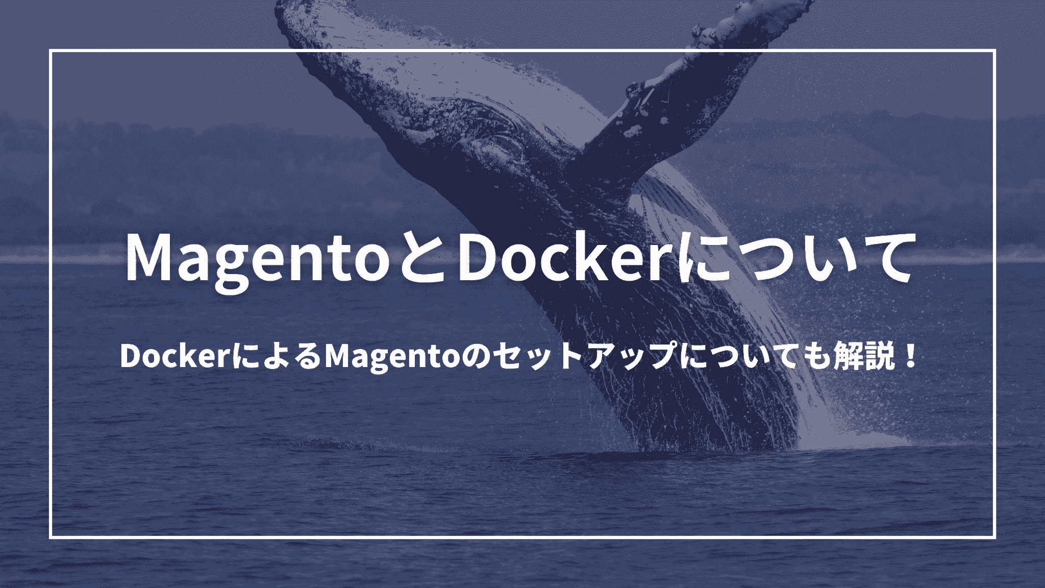 MagentoとDockerについて：DockerによるMagentoのセットアップについても解説！